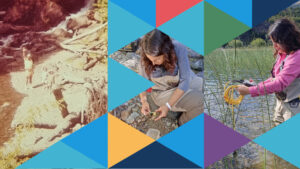 Juventudes científicas en la Patagonia: AppEAR mapea nuestros ríos